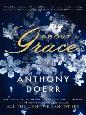 About Grace book cover