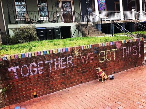 small pug dog sits in front of a brick wall with the words "Together We Got This" written in chalk