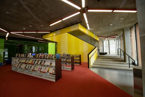 red carpeted room with a book case on the left and a grey staircase on the left