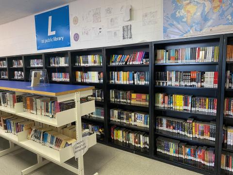 DC Jail Library