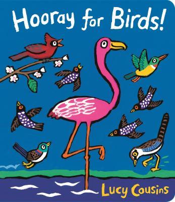 Hooray for Birds book cover
