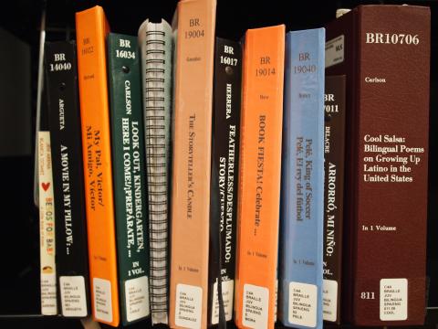 Image of Center for Accessibility braille books on a shelf