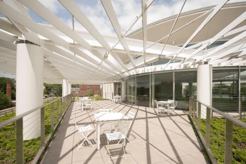 rooftop seating with pergola and ground greenery