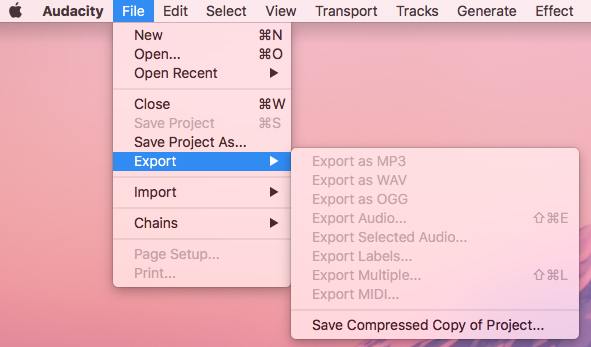 Audacity Save window