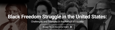 Black Freedom Struggle website logo