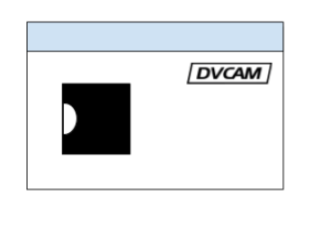 DV icon