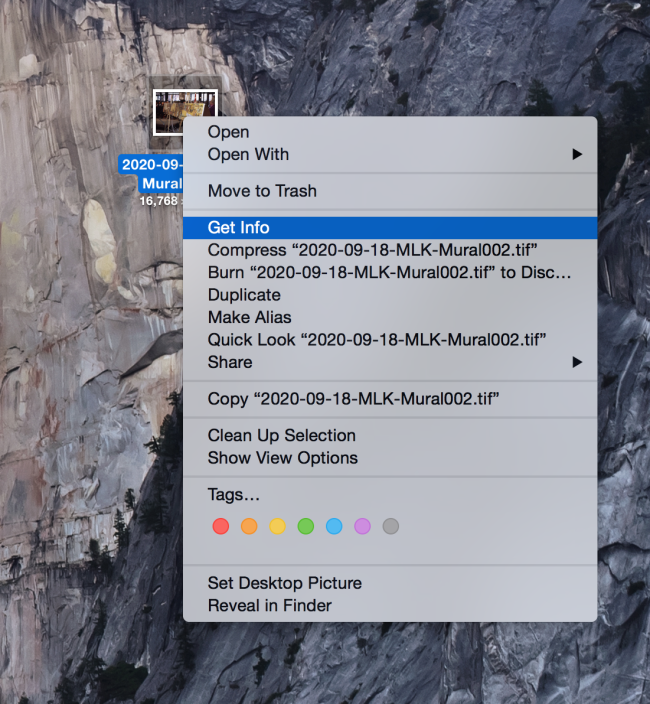 Photo file get info window