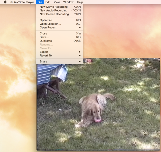 Quicktime File Save window