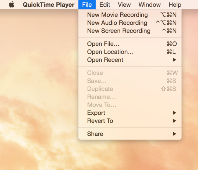 Quicktime New Movie Recording window