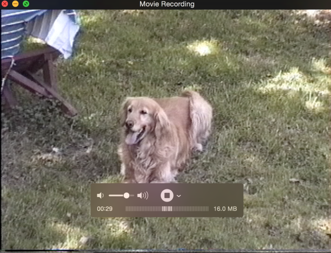 Quicktime Recording window