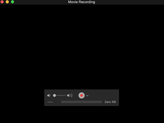 Quicktime Save Settings window