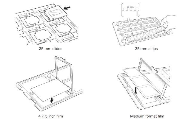 Scanner film sizes image
