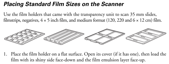 Scanner film sizes image